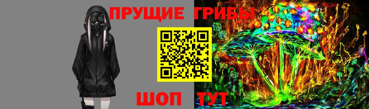 Галлюциногенные грибы ЛСД  Вход с VPN  Псилоцибиновые грибы Magic Shrooms  закладка  Звенигород 